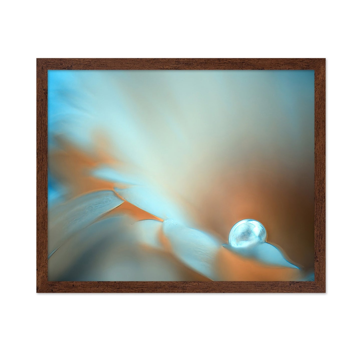 Dewdrop Glow