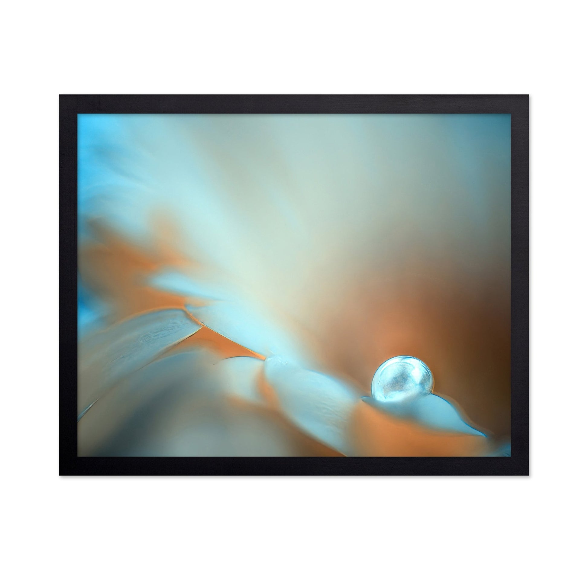 Dewdrop Glow