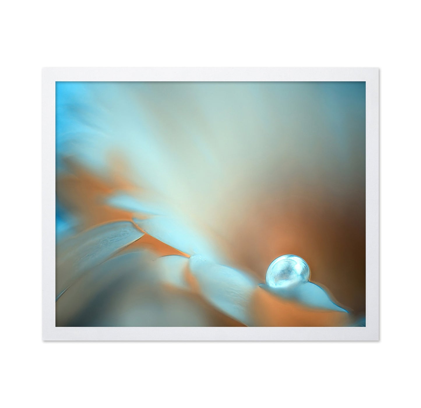 Dewdrop Glow
