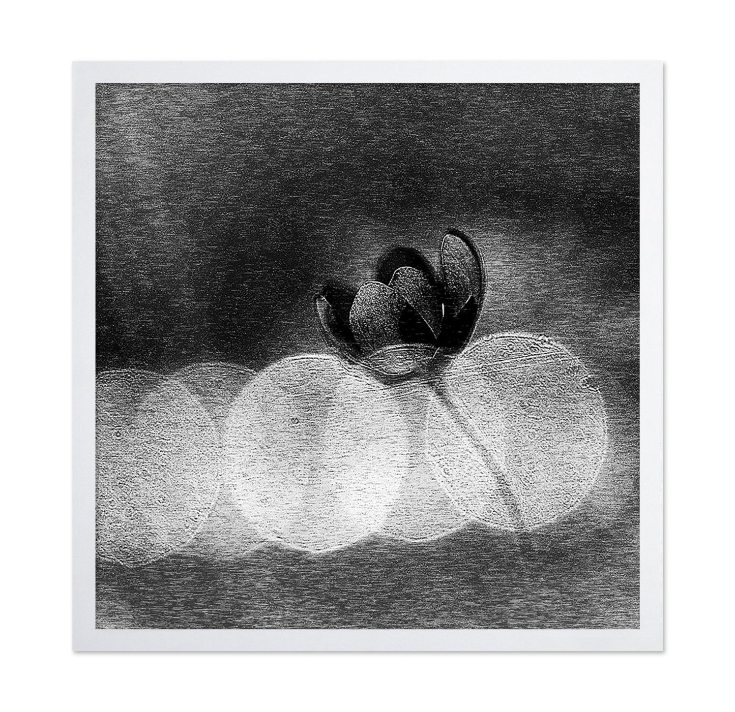 Dark Orchid Bloom