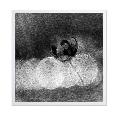 Dark Orchid Bloom