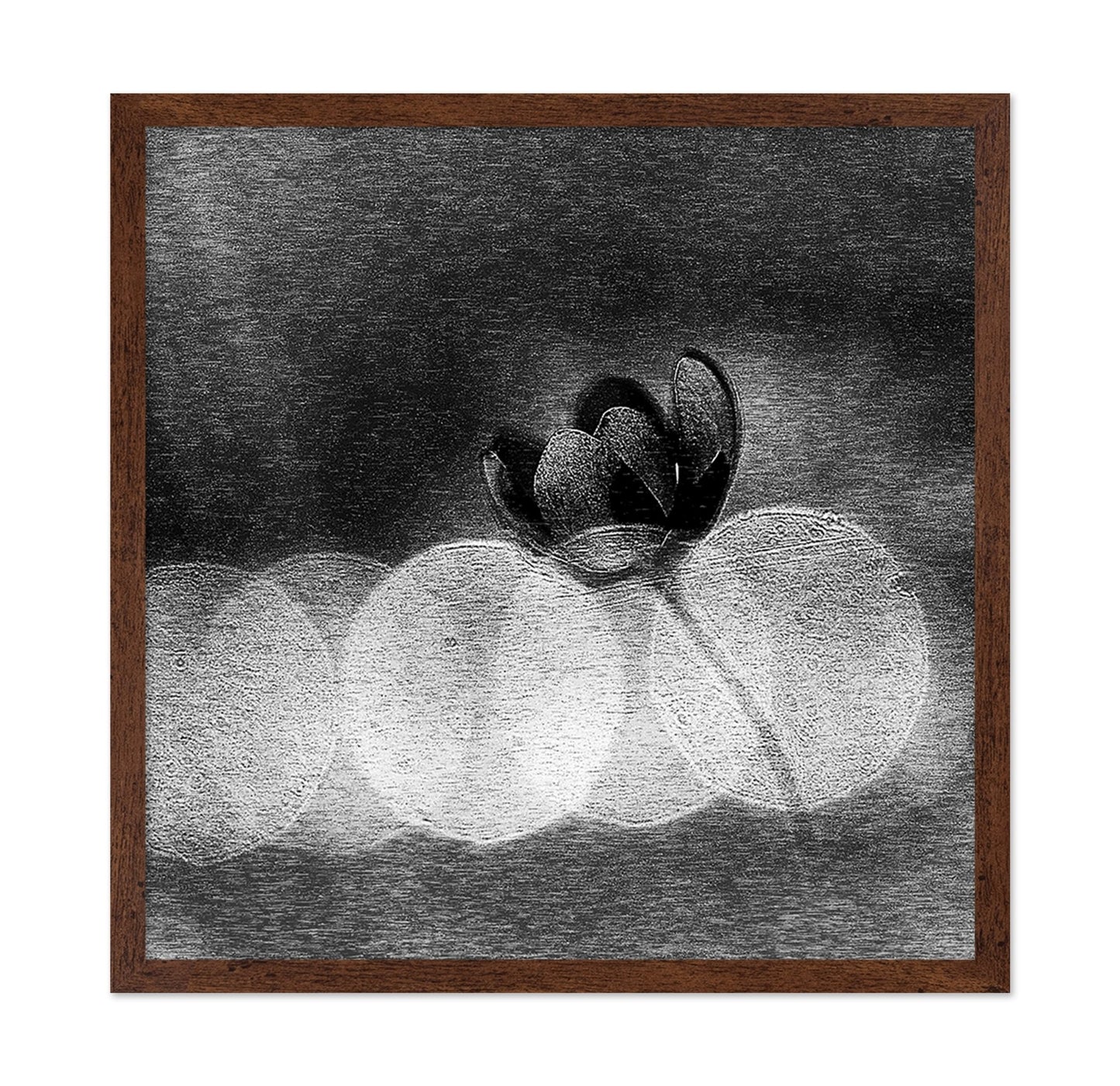 Dark Orchid Bloom