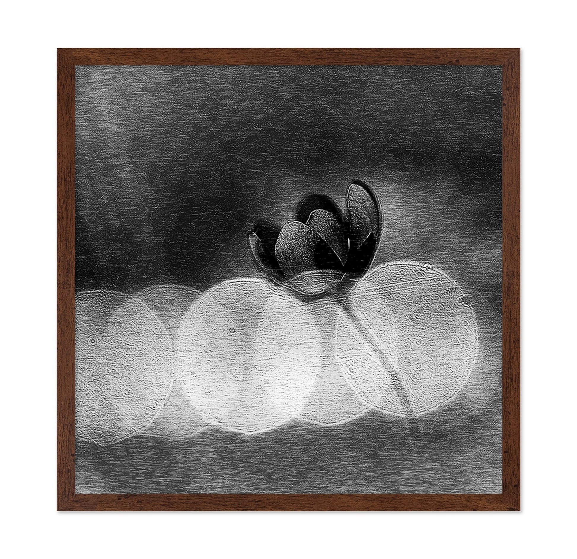 Dark Orchid Bloom