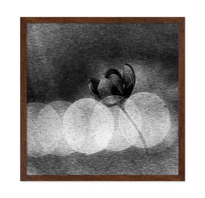 Dark Orchid Bloom