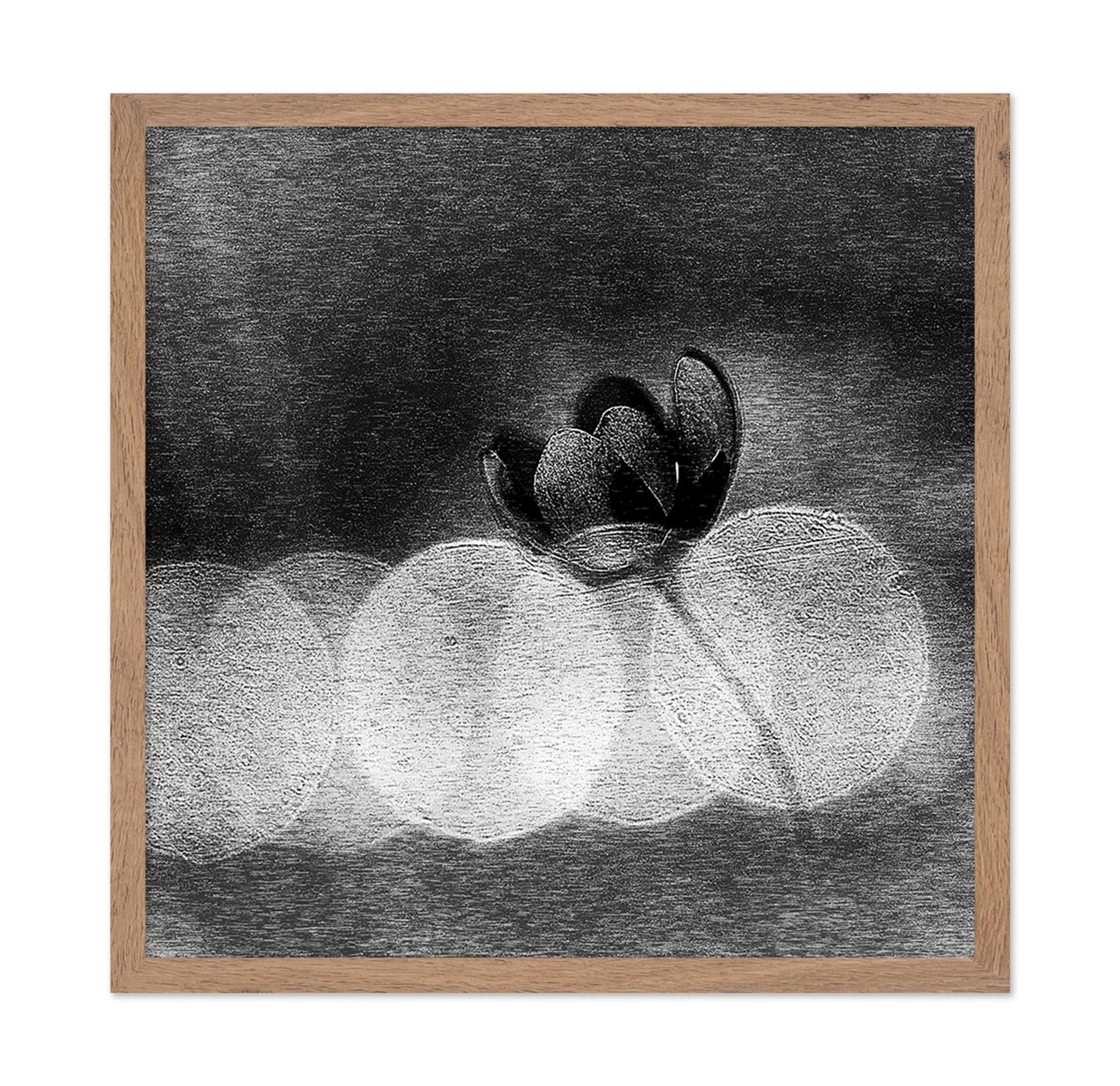 Dark Orchid Bloom