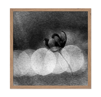 Dark Orchid Bloom