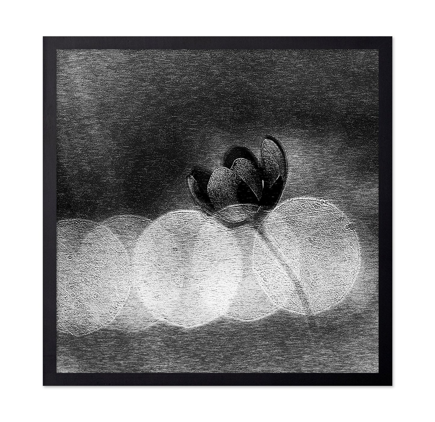 Dark Orchid Bloom