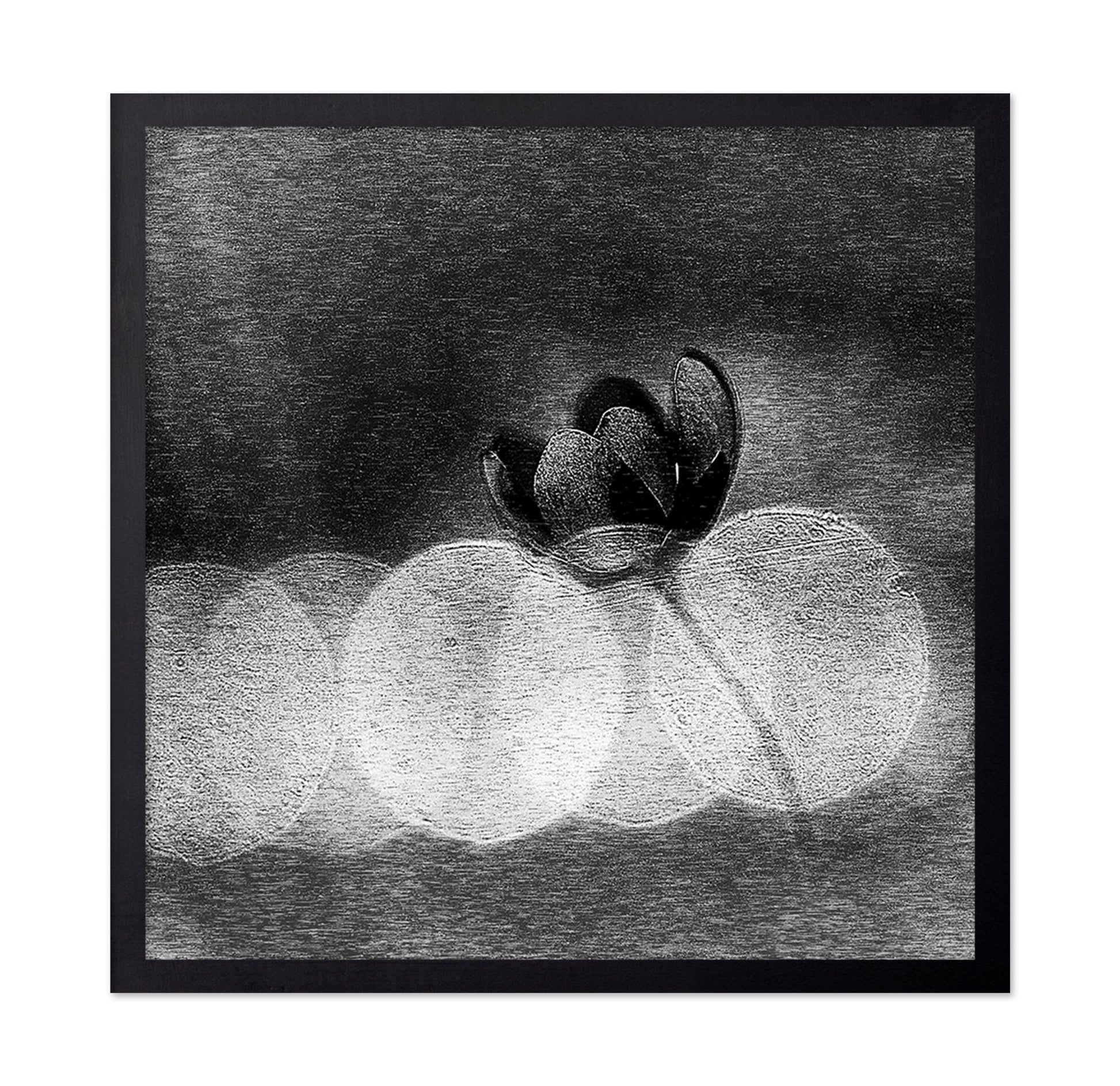 Dark Orchid Bloom