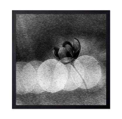 Dark Orchid Bloom