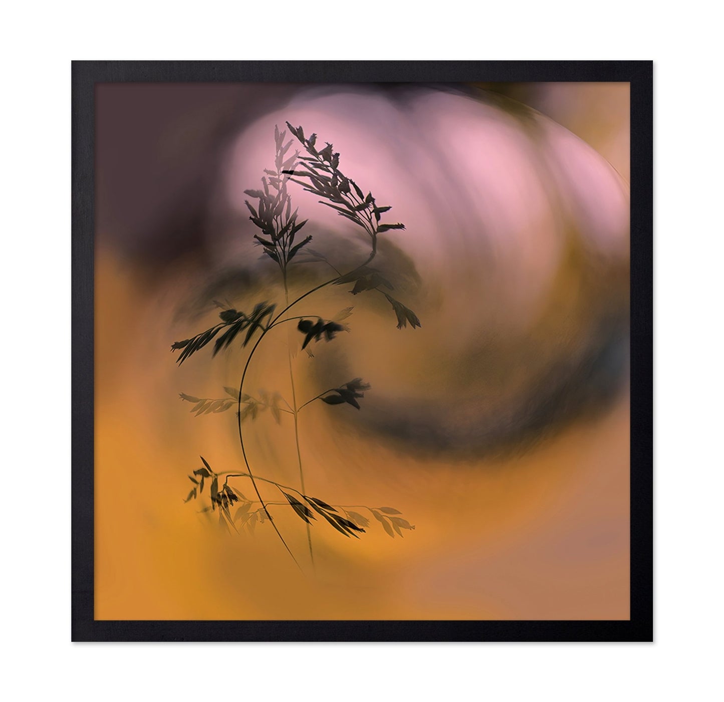 Sunset Grass Silhouette