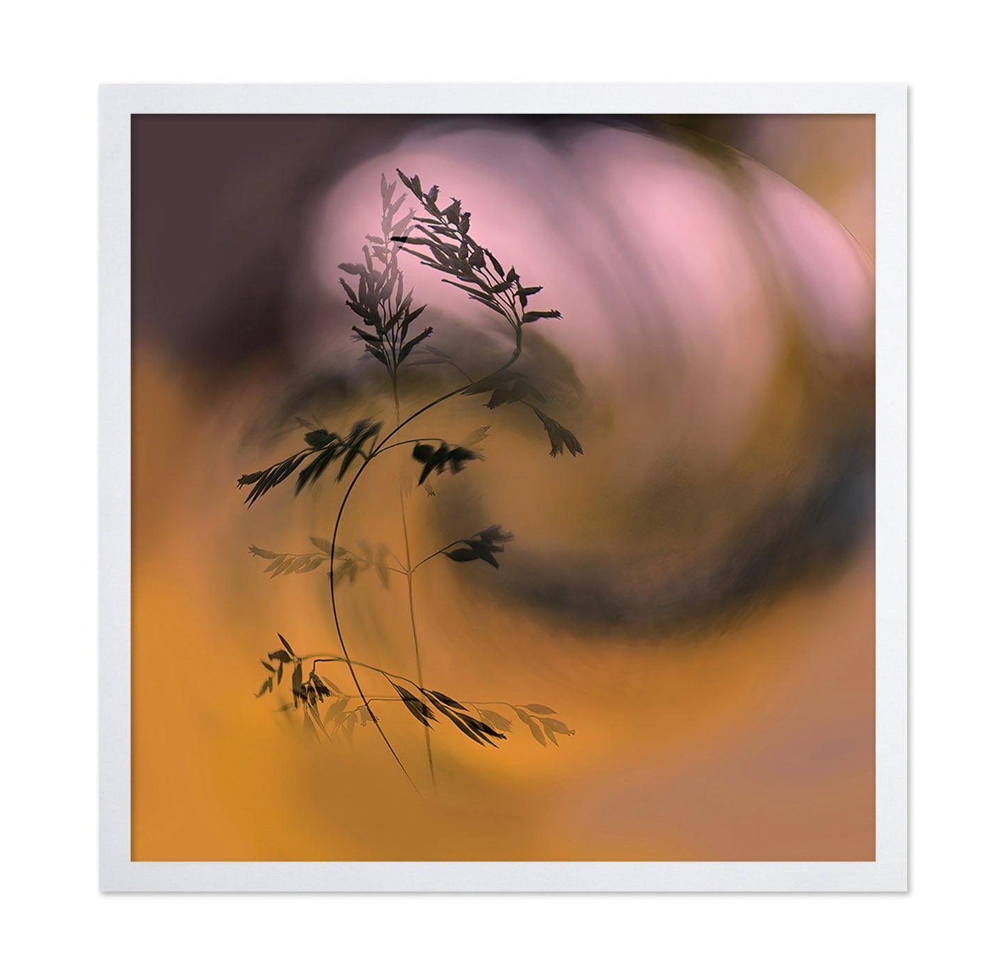 Sunset Grass Silhouette