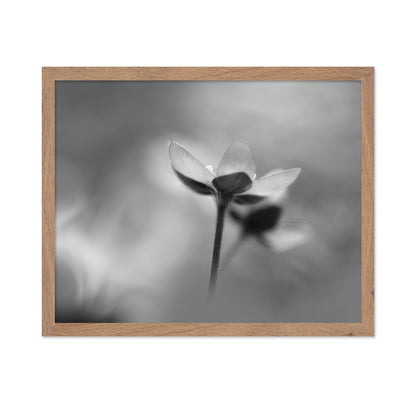 Silent Bloom Shadow