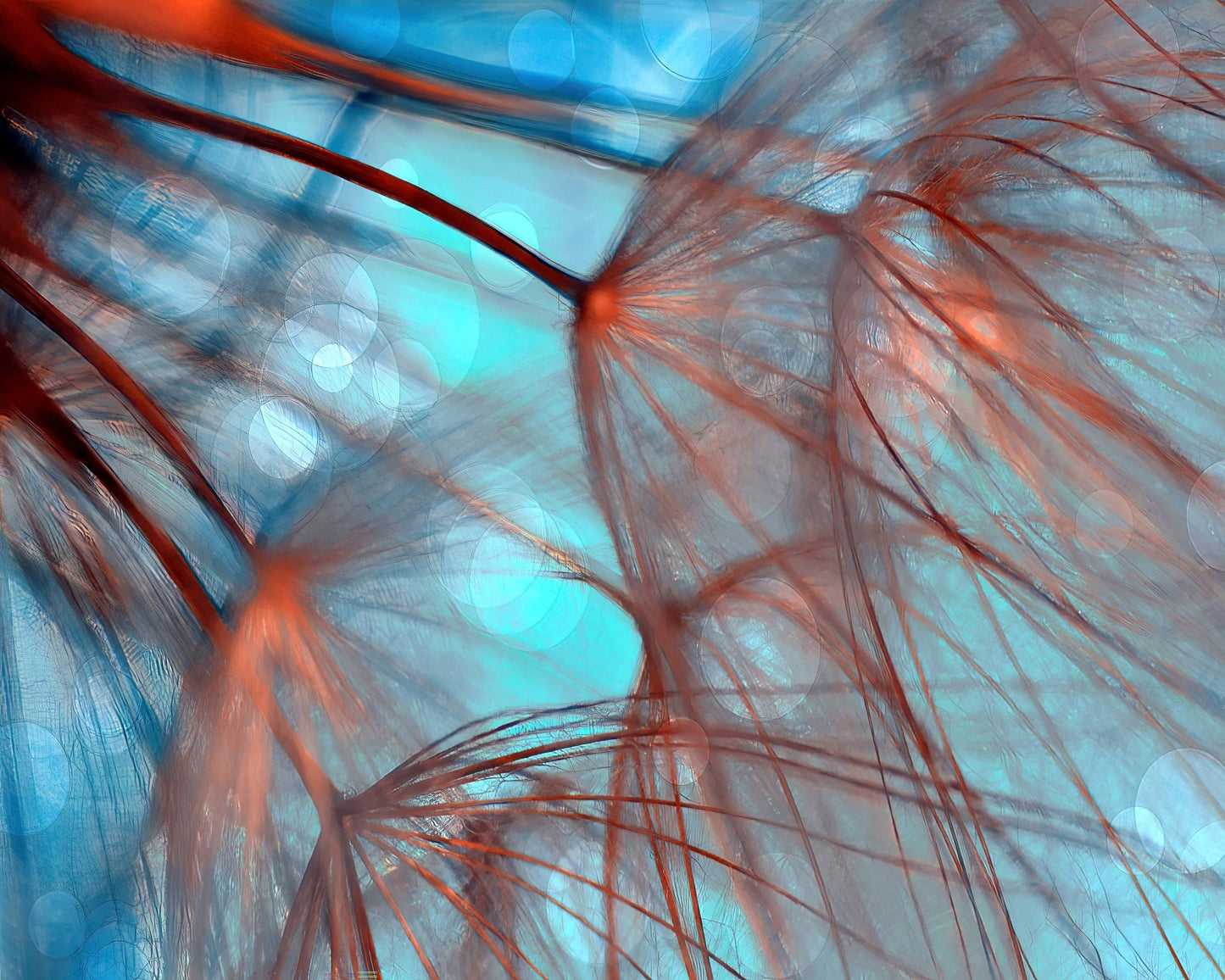 Dream Fiber Bloom