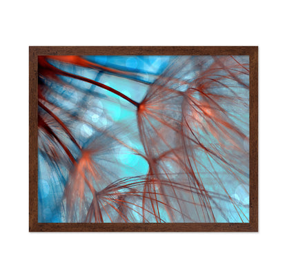 Dream Fiber Bloom