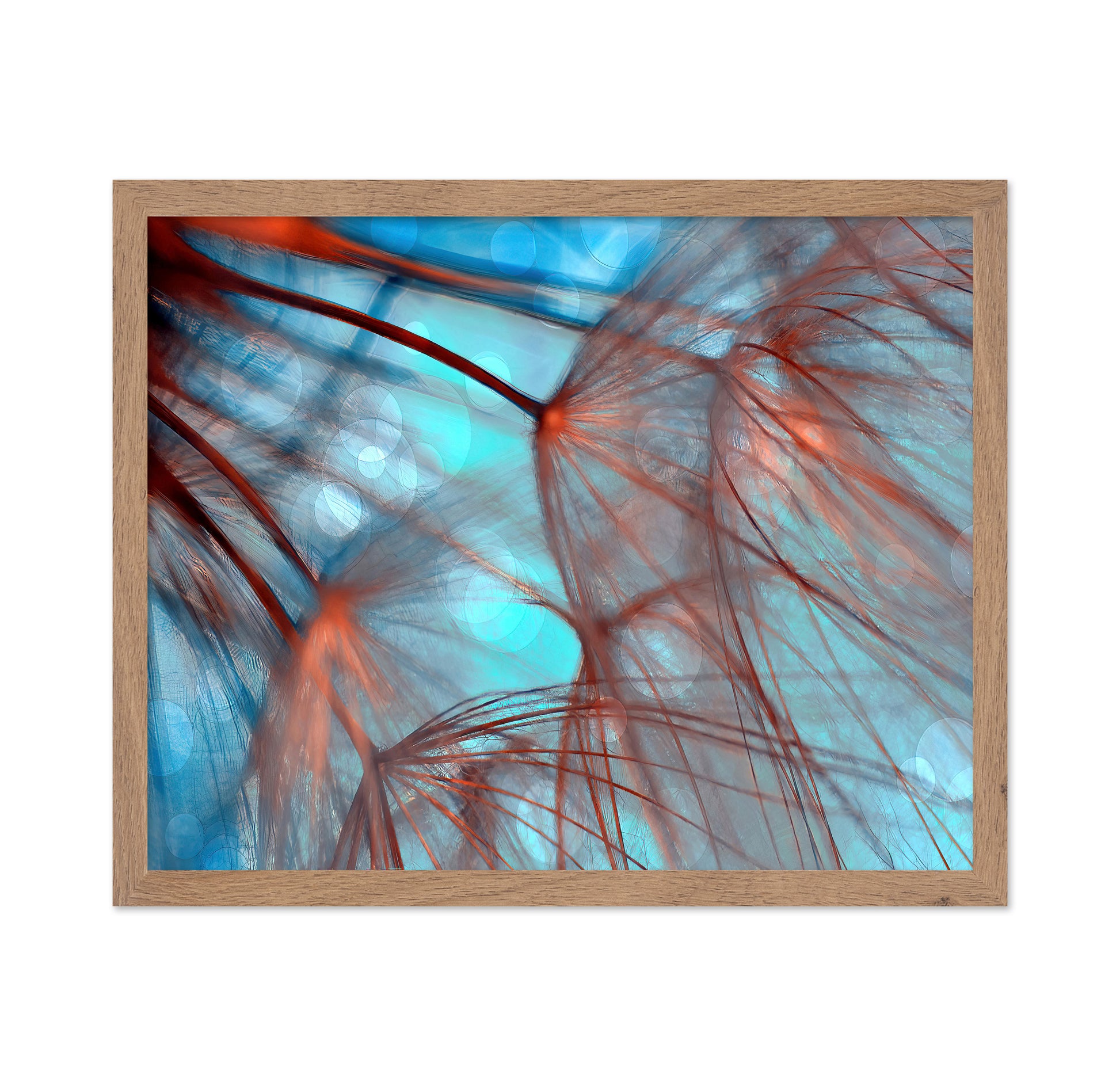 Dream Fiber Bloom