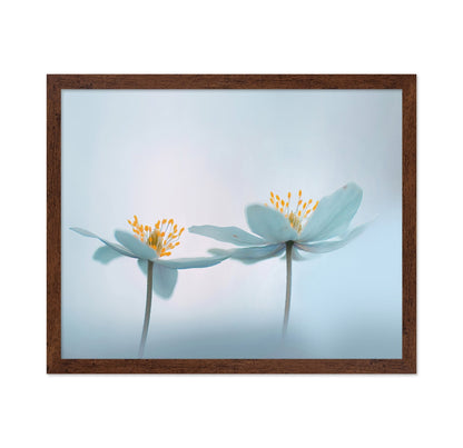Soft Bloom Pair