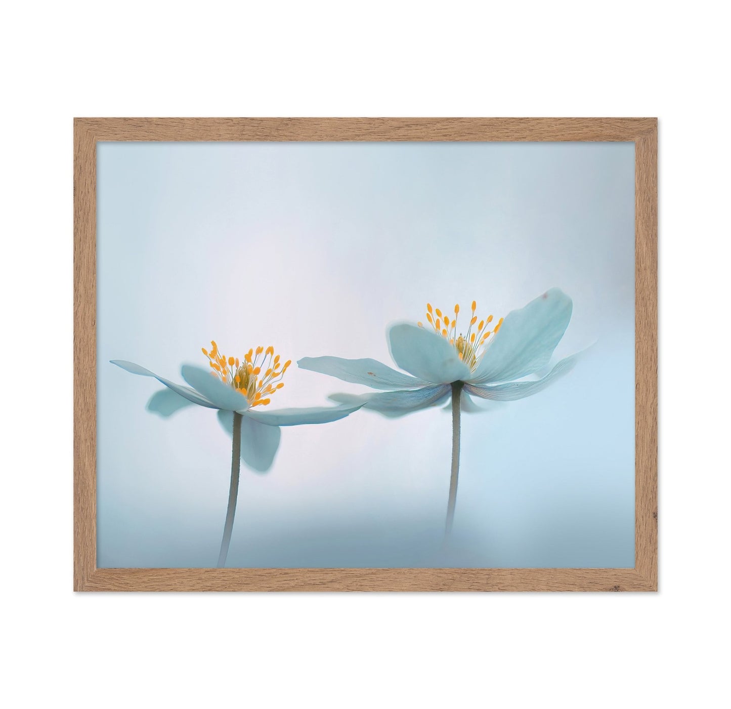 Soft Bloom Pair