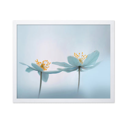 Soft Bloom Pair