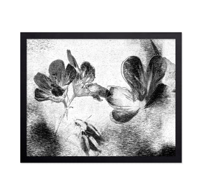 Black White Floral Sketch