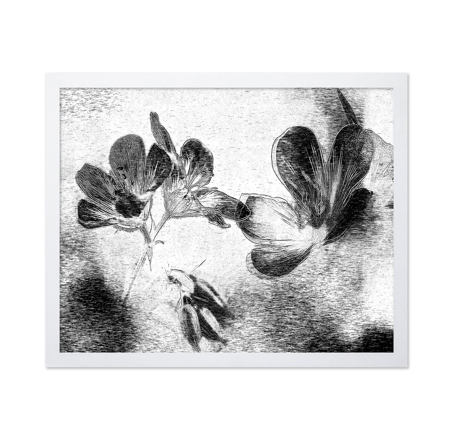 Black White Floral Sketch