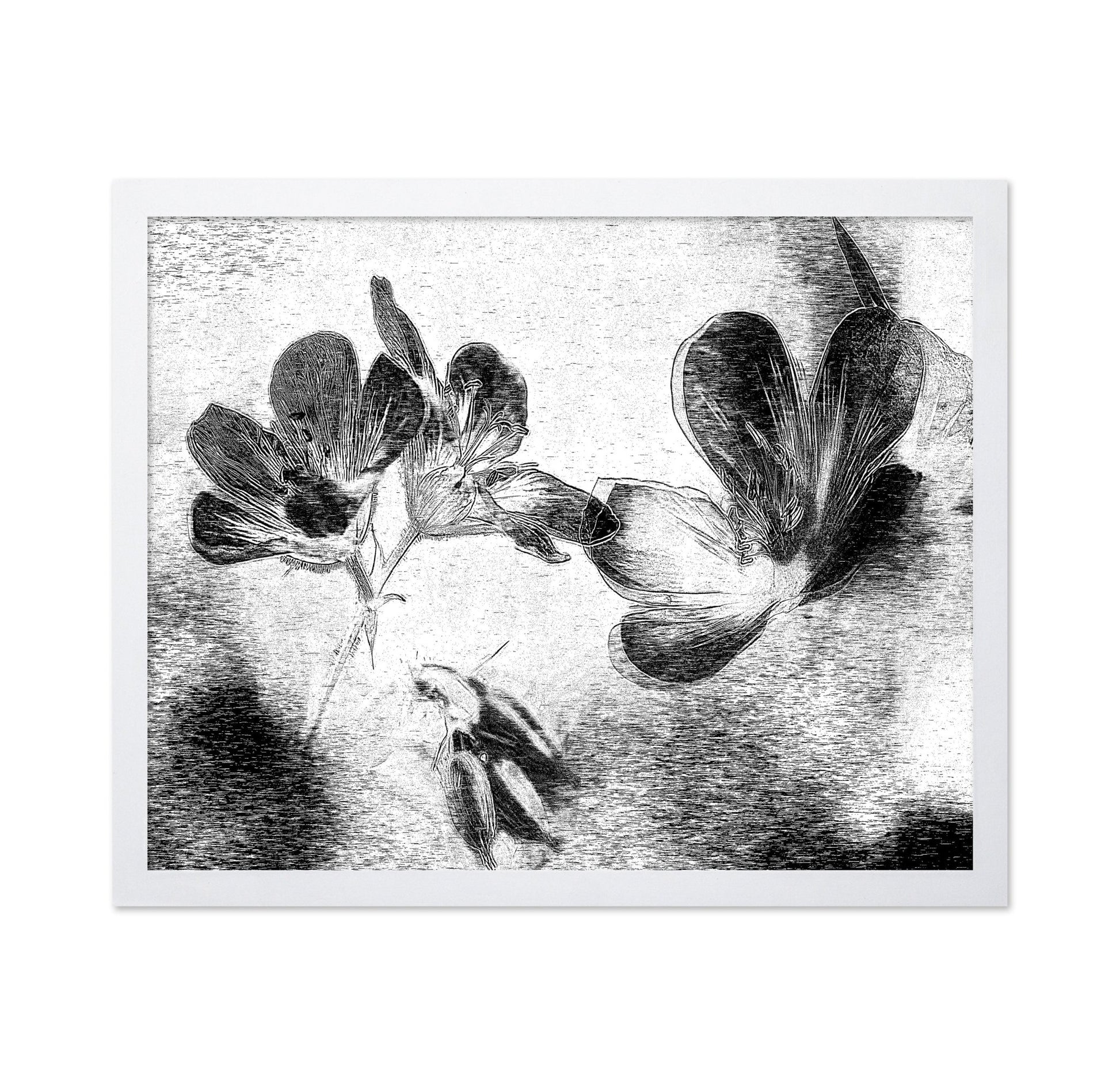 Black White Floral Sketch