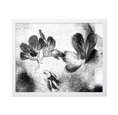 Black White Floral Sketch
