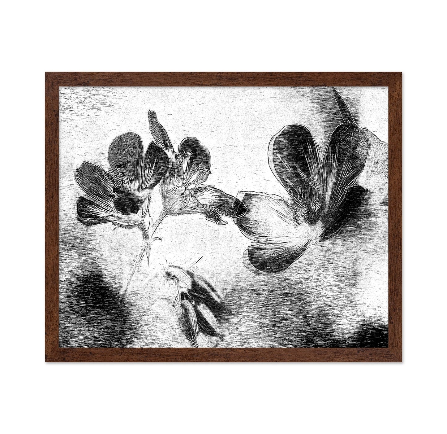 Black White Floral Sketch