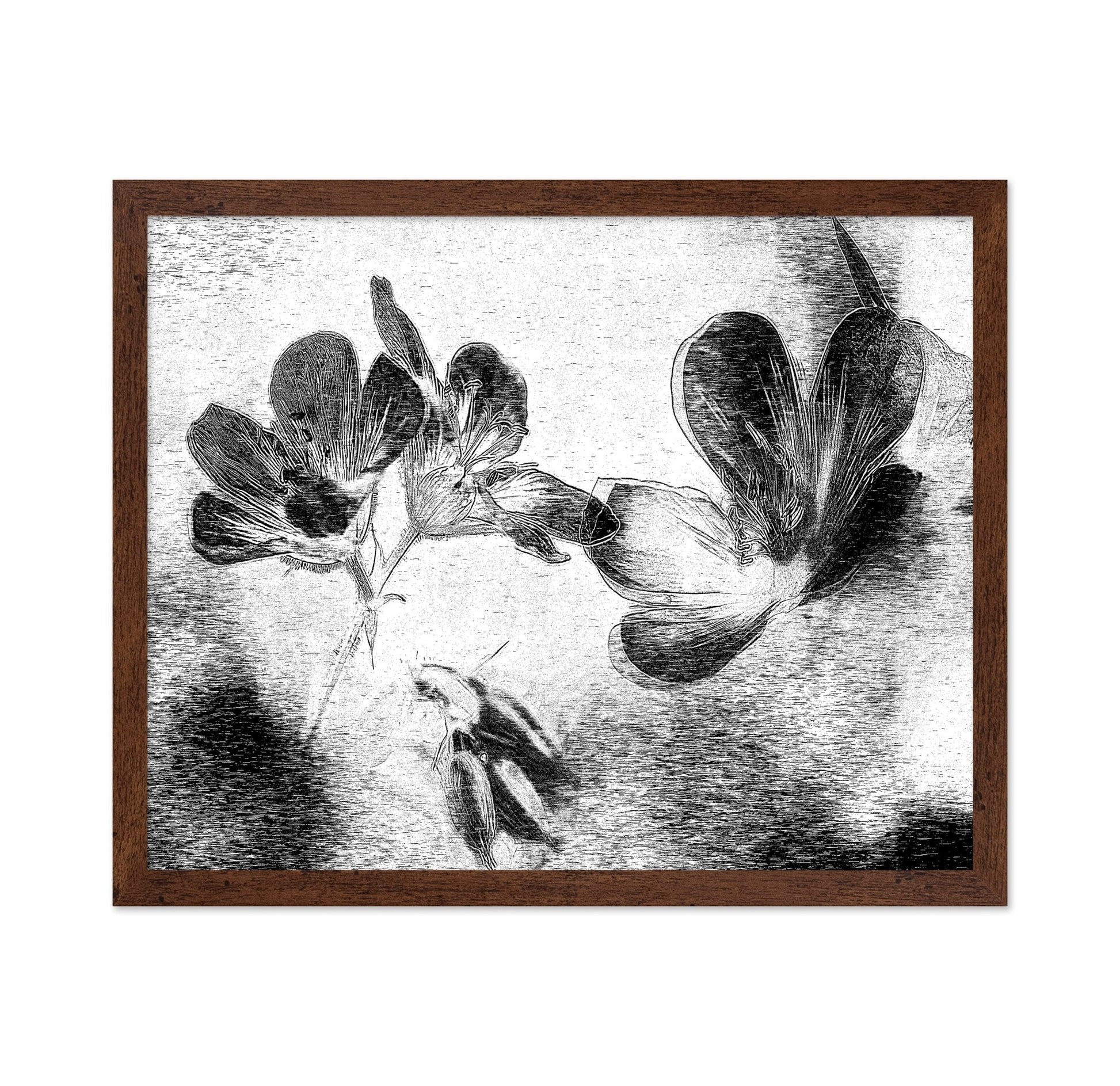 Black White Floral Sketch