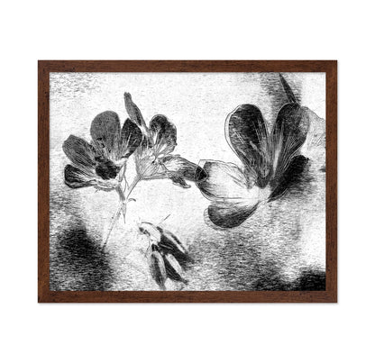 Black White Floral Sketch