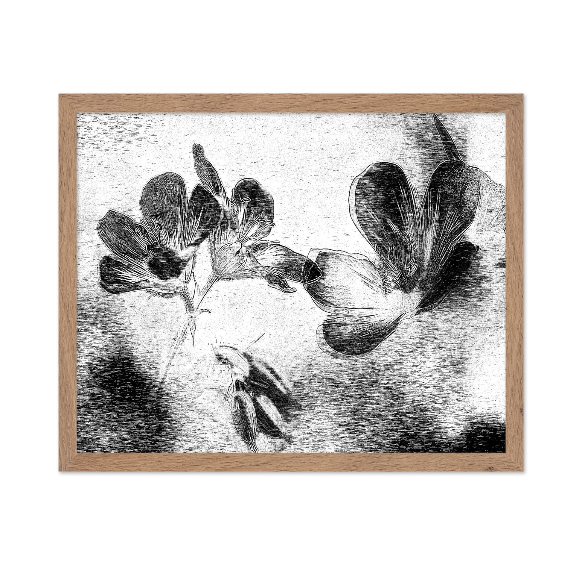 Black White Floral Sketch