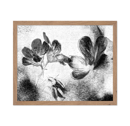 Black White Floral Sketch