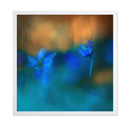 Twin Blue Blossoms