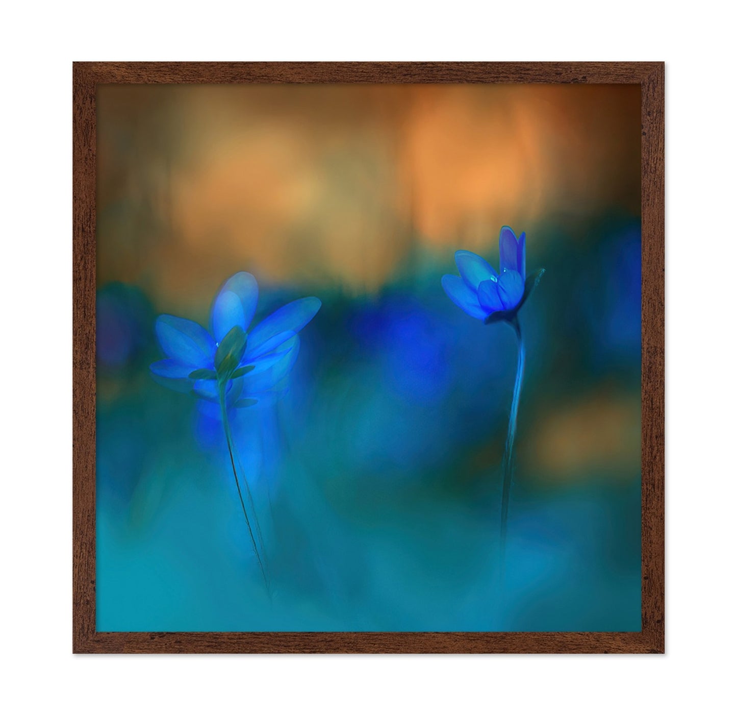 Twin Blue Blossoms