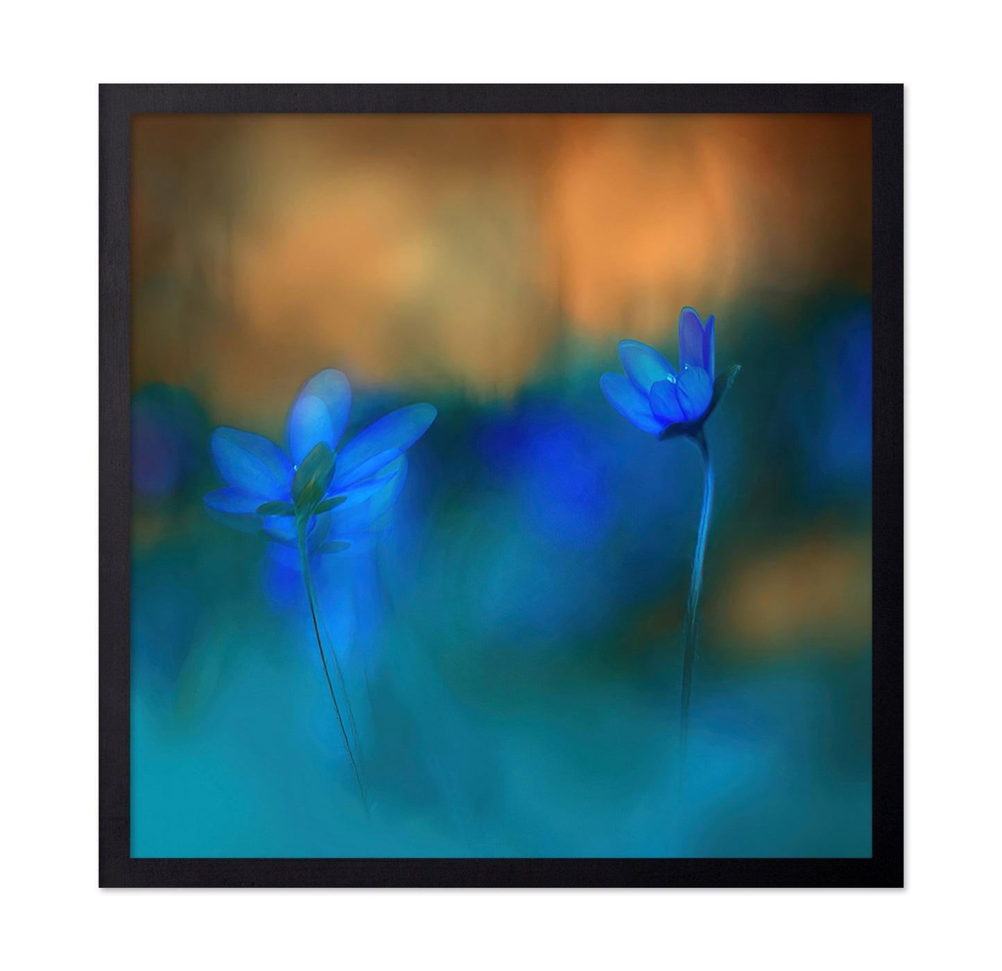 Twin Blue Blossoms
