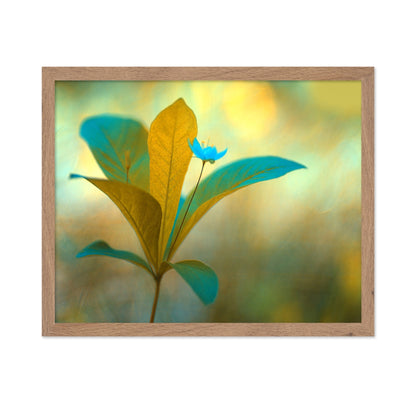 Blue Bloom Glow