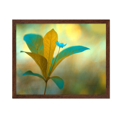 Blue Bloom Glow