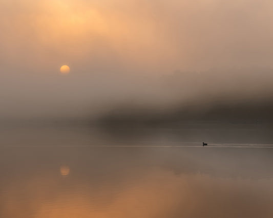 Mist Lake Drift