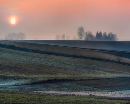 Frost Field Sunrise
