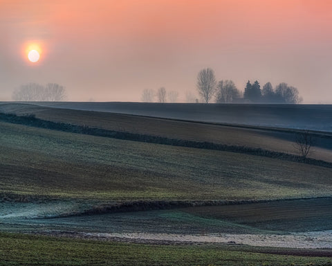 Frost Field Sunrise