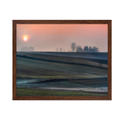 Frost Field Sunrise