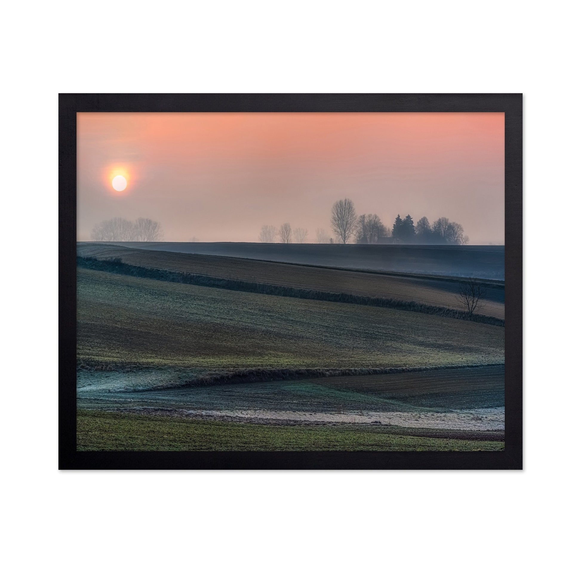 Frost Field Sunrise