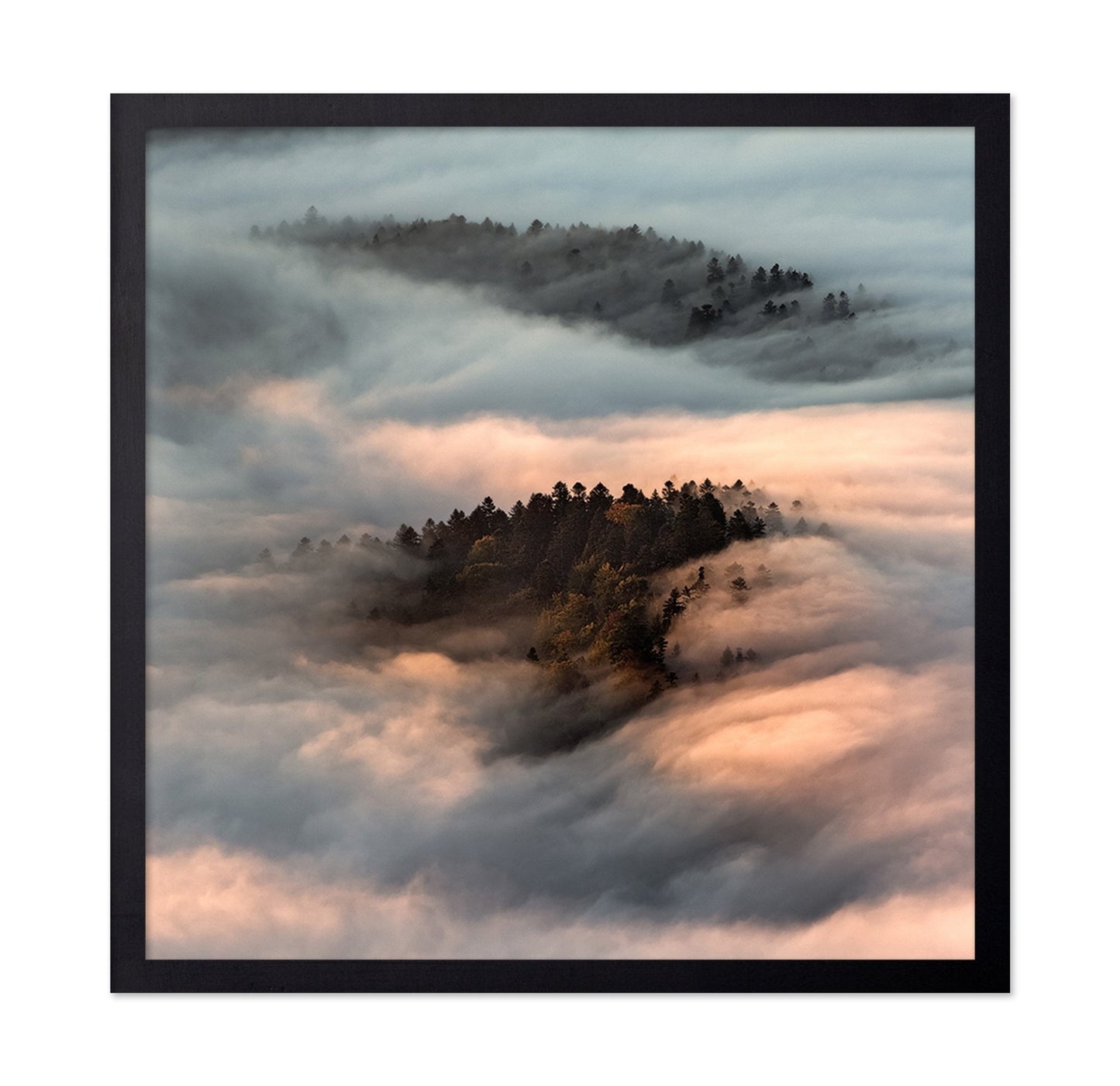 Floating Forest Mist