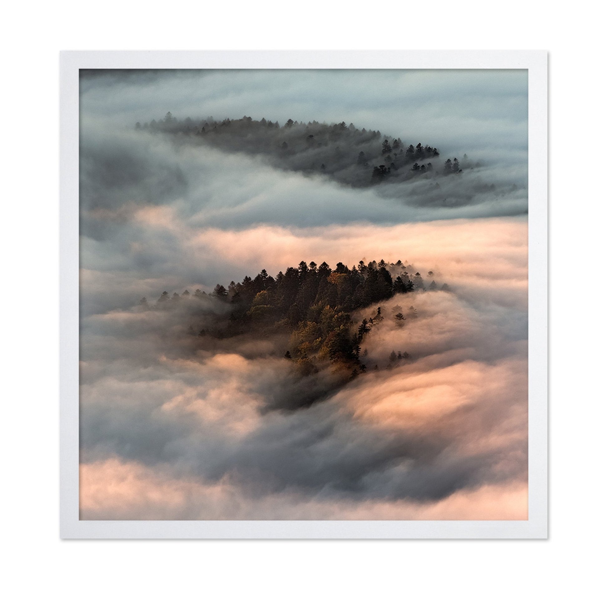 Floating Forest Mist