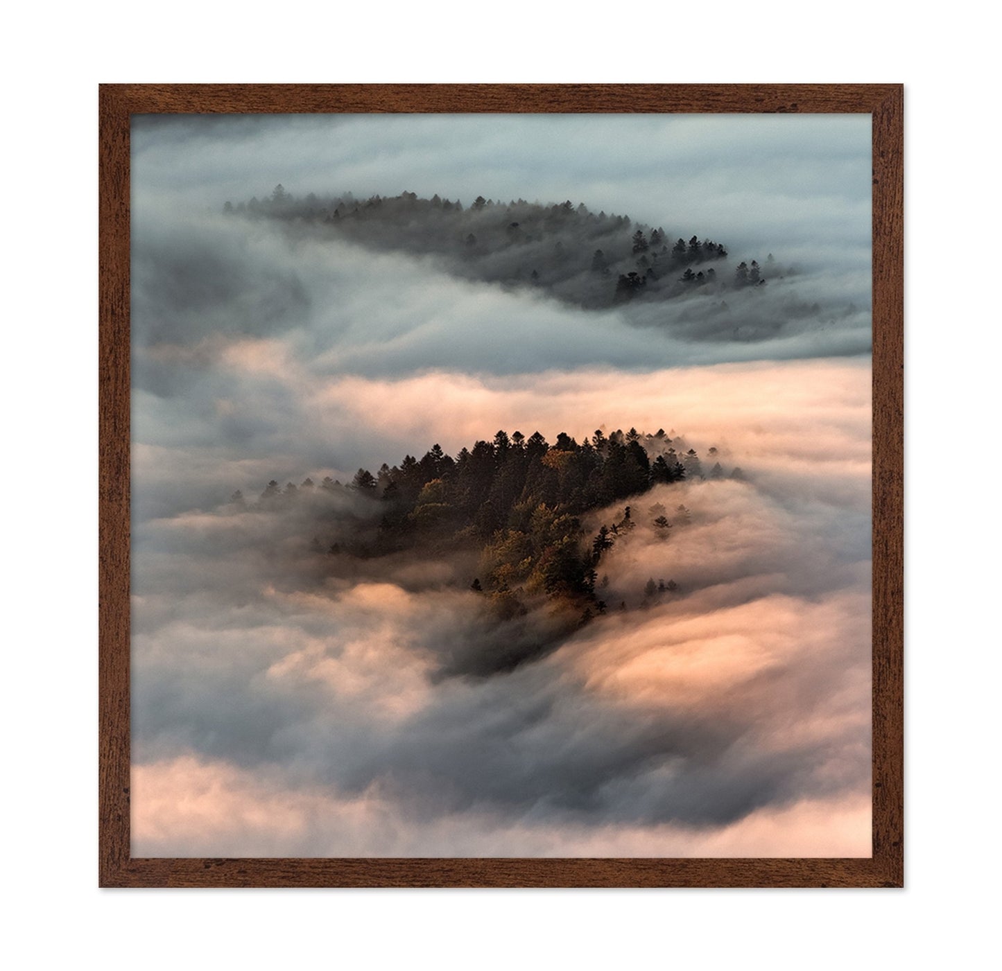 Floating Forest Mist