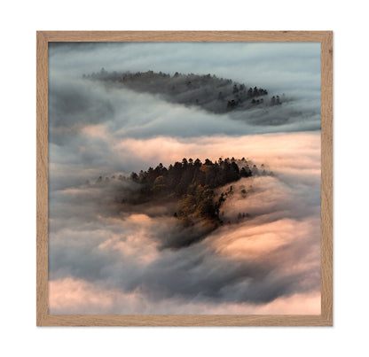 Floating Forest Mist