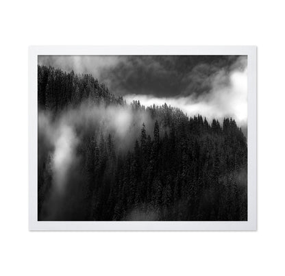Misty Pine Ridge No1