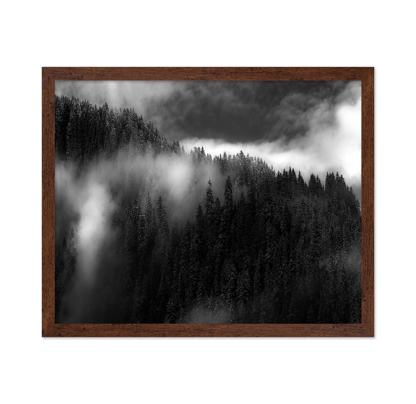 Misty Pine Ridge No1