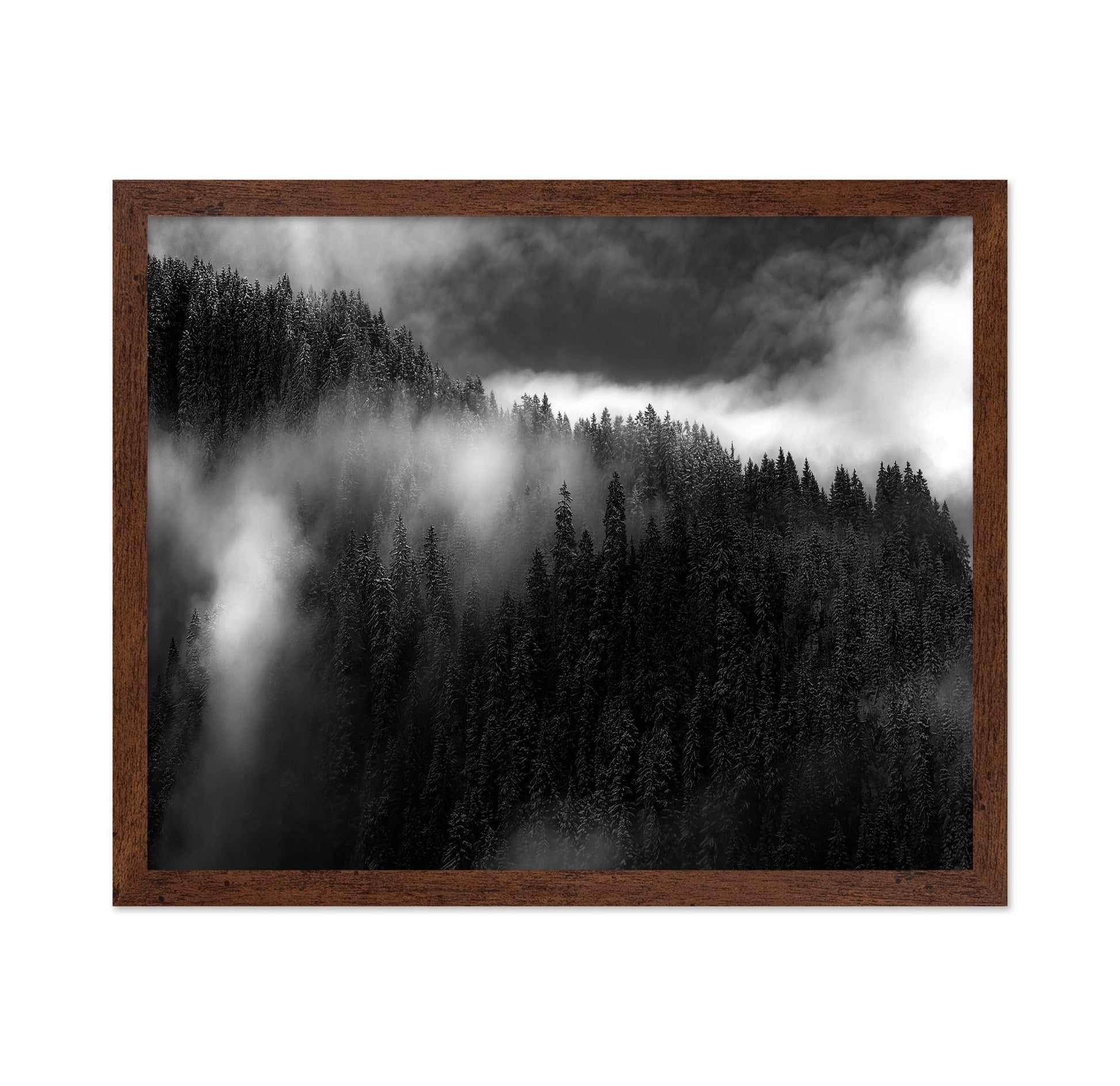Misty Pine Ridge No1