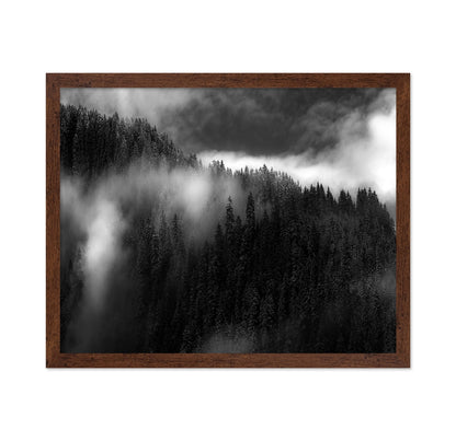 Misty Pine Ridge No1