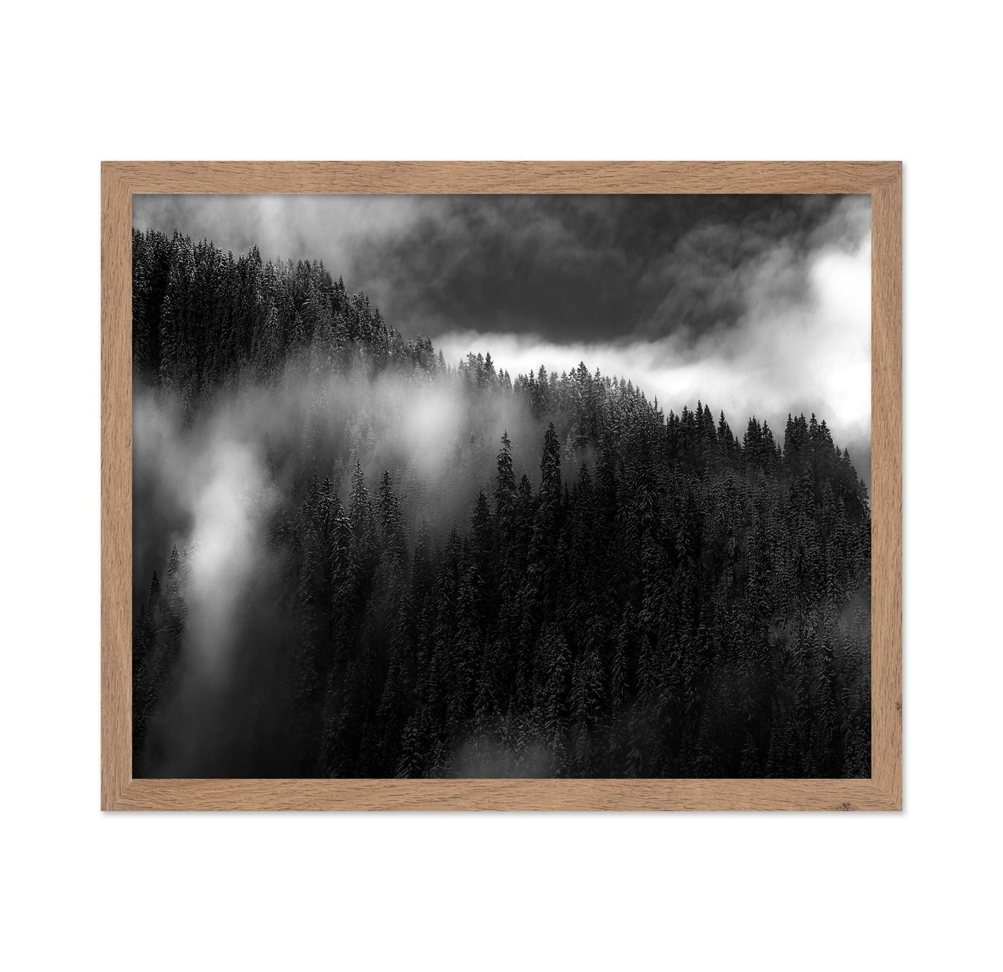 Misty Pine Ridge No1